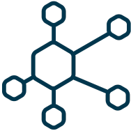 network Assessment